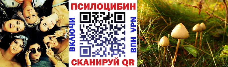 Псилоцибиновые грибы Psilocybe Северская